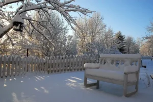 Snow and it's Effects on Plants