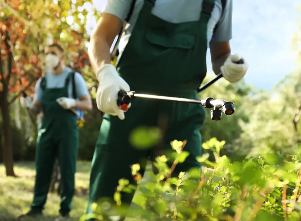 Element Turf & Outdoor Solutions - Pest Control Services near Bethalto IL