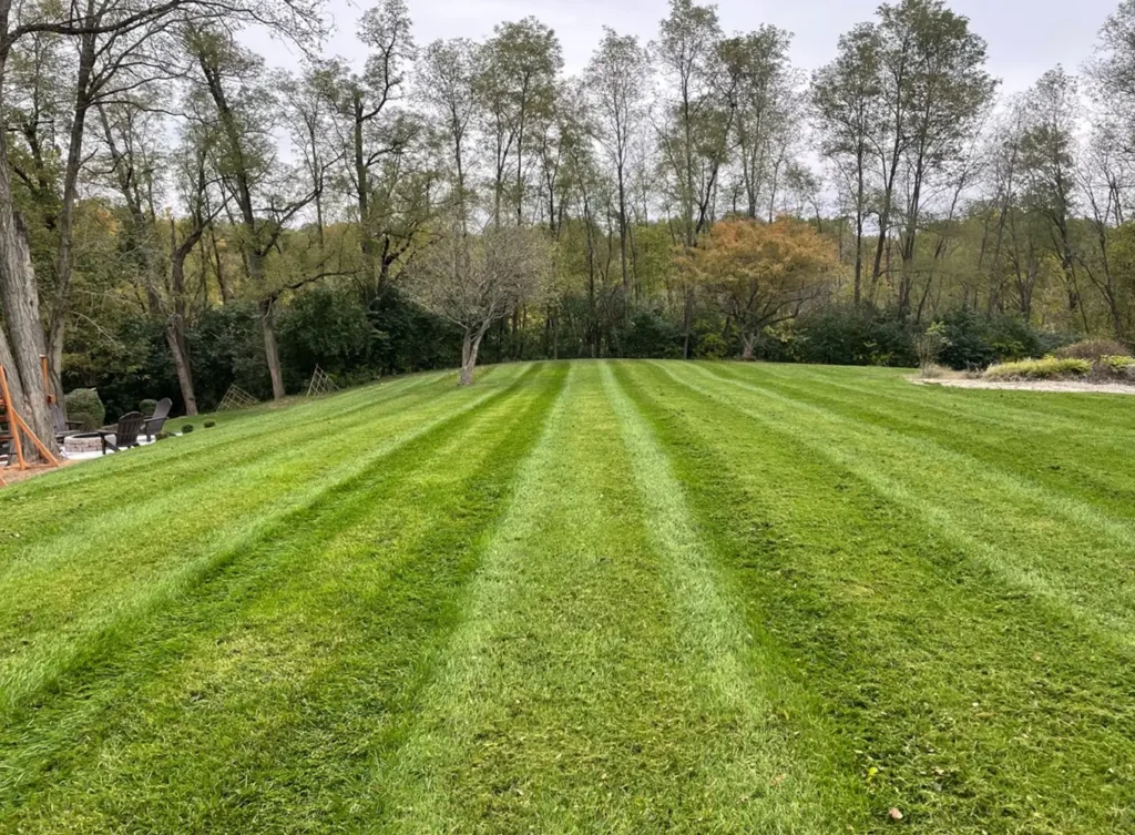 Element Turf & Outdoor Solutions - Moro IL Lawn Maintenance services