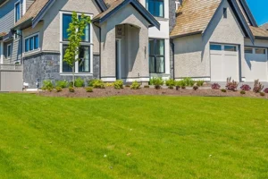 You're Killing Your Lawn With DIY Lawn Care - Element Turf & Outdoor Solutions - Alton, Illinois