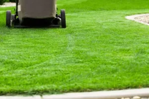 3 Things to Ask Before Hiring a Professional Mowing Company - Element Turf & Outdoor Solutions - Alton, Illinois