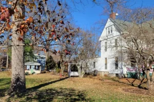 Those Leaf Piles Might be Pretty but They are Harming Your Grass - Element Turf & Outdoor Solutions - Alton, Illinois