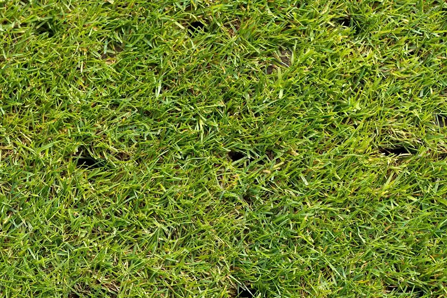 When Should I Aerate My Lawn in Alton, IL? - Element Turf & Outdoor Solutions