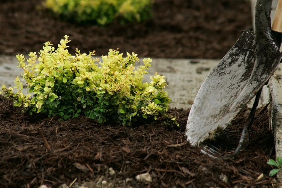 Mulch 101: How Often Should You Replenish Mulch in Illinois? - Element Turf & Outdoor Solutions - Alton, Illinois