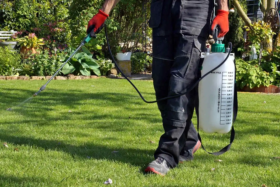 Is Pre-Emergent Weed Control Really Worth It? - Element Turf & Outdoor Solutions - Alton, Illinois