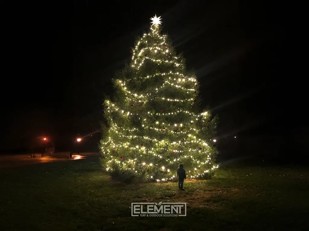 Examples of Holiday Lighting by Element Turf & Outdoor Solutions in the Alton, Godfrey, and Edwardsville IL Area