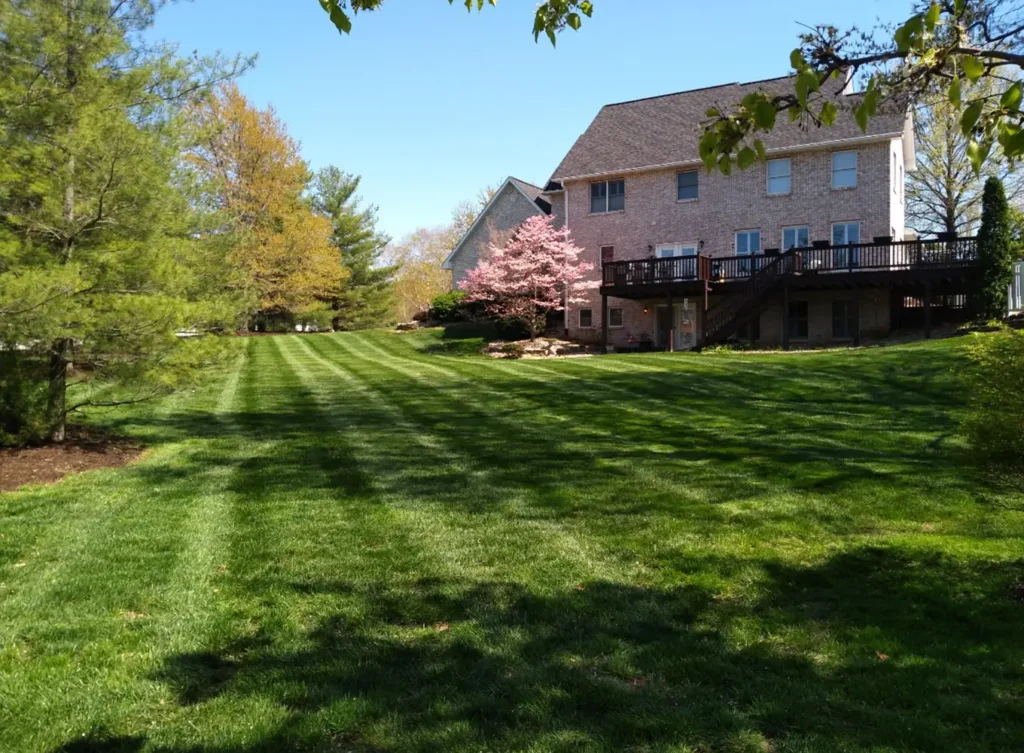 Element Turf & Outdoor Solutions - Full-Service Lawn Care & Maintenance