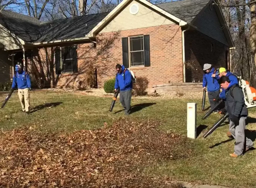 Element Turf & Outdoor Solutions - Clearing leaves and debris out of yard for fall cleanup at a home near Alton IL