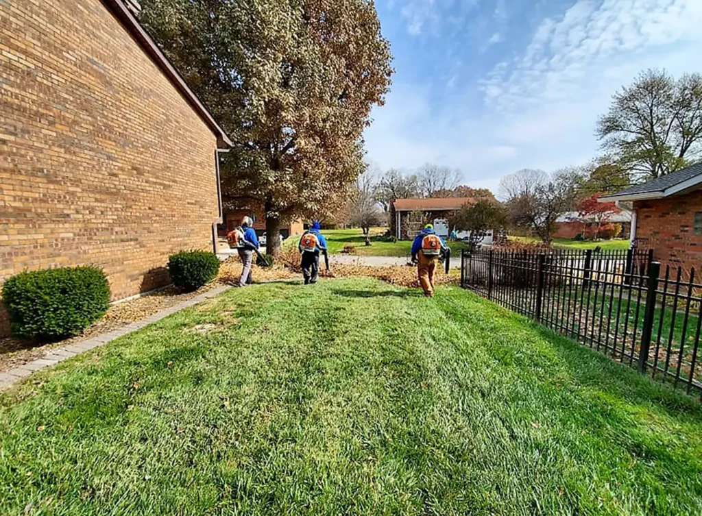 Element Turf & Outdoor Solutions - Clearing a yard of leaves and debris in Alton, IL.