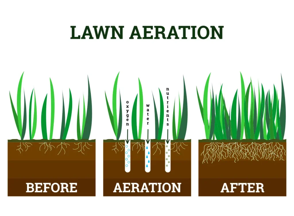 Element Turf & Outdoor Solutions - Core Aeration Diagram