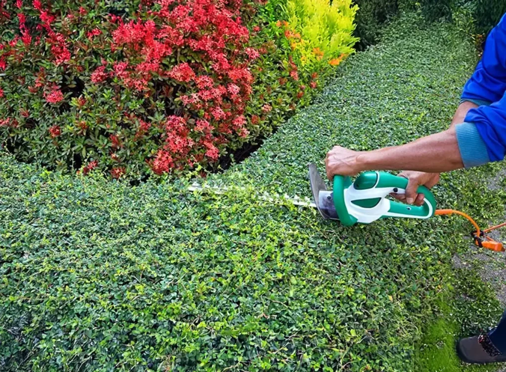 Element Turf & Outdoor Solutions - Trimming Hedges outside an Alton IL Home