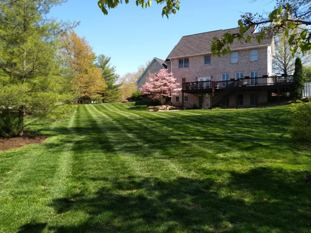 Element Turf & Outdoor Solutions - Residential Lawn Mowing Service