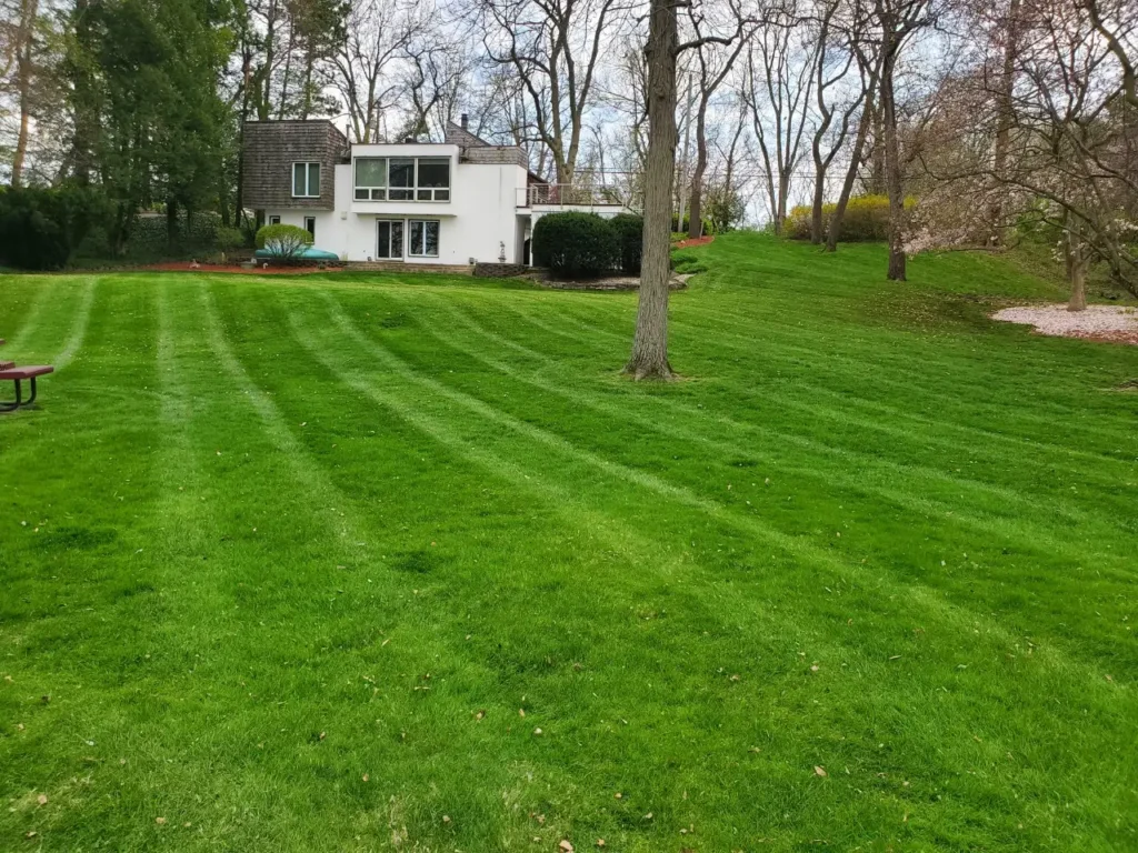 Element Turf & Outdoor Solutions - Residential Lawn Mowing Service