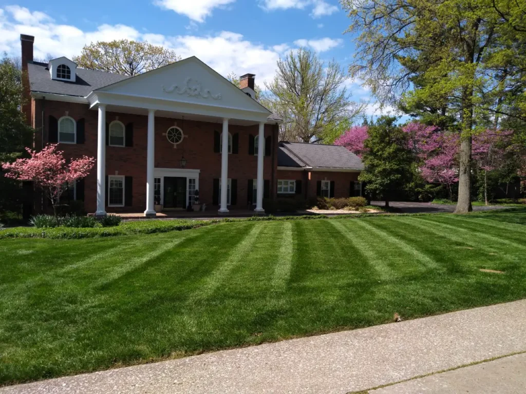 Element Turf & Outdoor Solutions - Residential Lawn Mowing Service