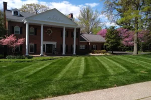 A beautiful, freshly mowed lawn by Element Turf Professions in Alton, Illinois.